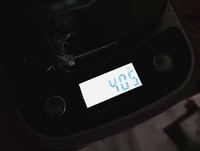 Alphas Gewicht am 7.9.